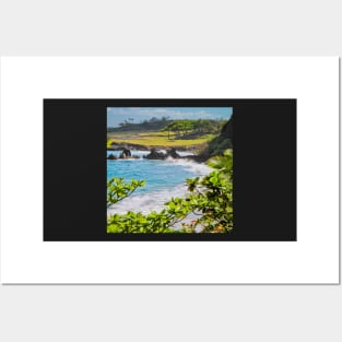 Hamoa Beach View Posters and Art